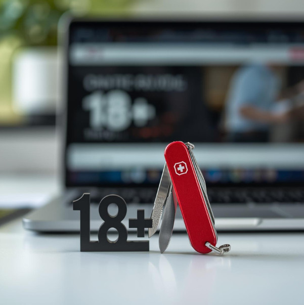 coltellini svizzeri decreto sicurezza acquisto online