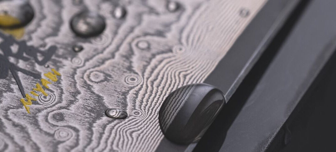 Quale coltello Miyabi scegliere: guida completa ai migliori modelli