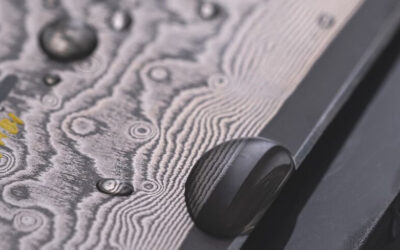 Quale coltello Miyabi scegliere: guida completa ai migliori modelli